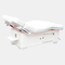 Dossier électrique du Tableau 1500W de beauté de lit de massage de station thermale réglable